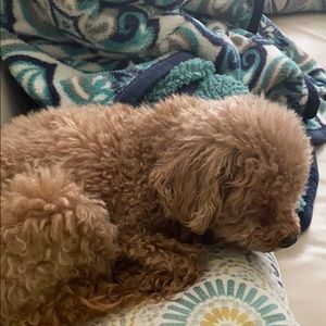 Meet your Posher, Deborah